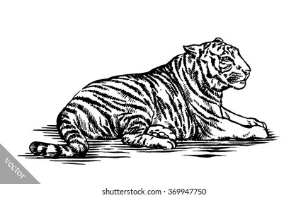 engrave ink draw tiger illustration