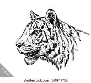 engrave ink draw tiger illustration