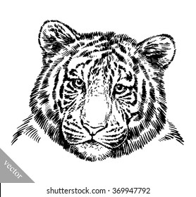 engrave ink draw tiger illustration