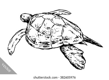 engrave ink draw turtle illustration