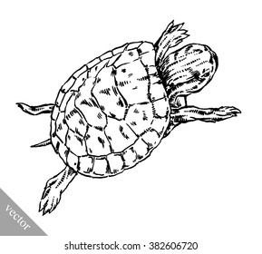 engrave ink draw turtle illustration