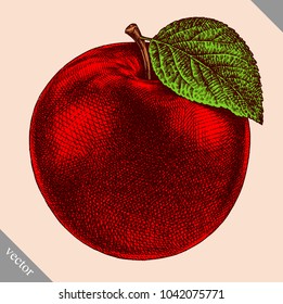 Engrave isolated apple hand drawn graphic vector illustration