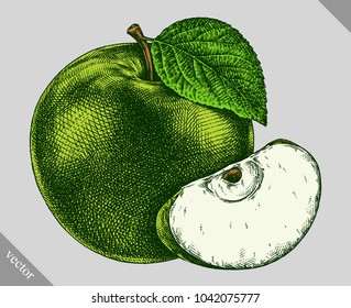 Engrave isolated apple hand drawn graphic vector illustration