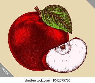 Engrave isolated apple hand drawn graphic vector illustration