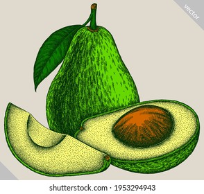 Engrave isolated avocado hand drawn graphic illustration