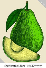 Engrave isolated avocado hand drawn graphic illustration