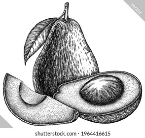 Engrave isolated avocado hand drawn graphic illustration