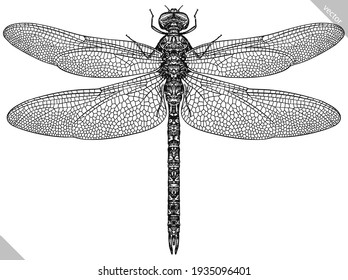 Engrave isolated dragonfly hand drawn graphic illustration