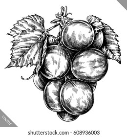 Engrave isolated grape berry hand drawn graphic illustration