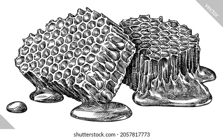 Engrave isolated honeycombs hand drawn graphic vector illustration