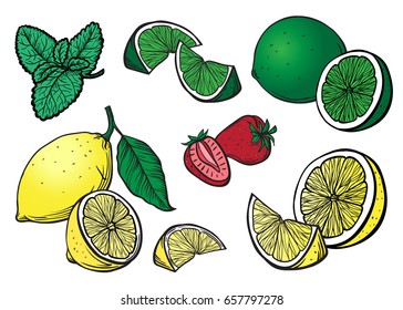 Engrave isolated lemon lime and strawberry hand drawn graphic vector illustration set collection