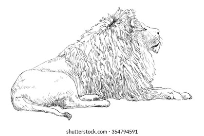 Engrave isolated lion vector illustration sketch
