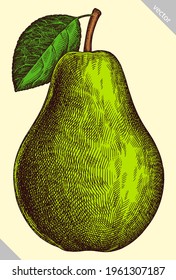 Engrave isolated pear hand drawn graphic vector illustration