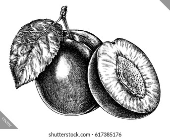 Engrave isolated plum hand drawn graphic vector illustration