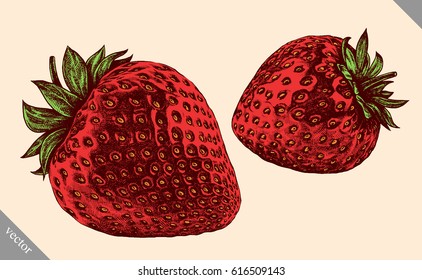 Engrave isolated strawberry hand drawn graphic vector illustration