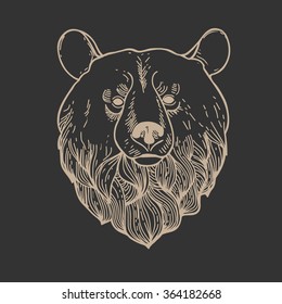 Engrave isolated vector bear.Bear Head Logo Mascot Emblem.Hand Drawn Graphic Bear.
