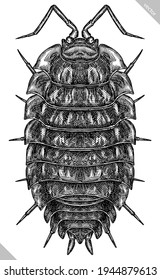 Engrave isolated woodlouse hand drawn graphic illustration