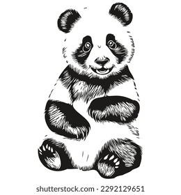 Engrave Panda illustration in vintage hand drawing style Pandas
