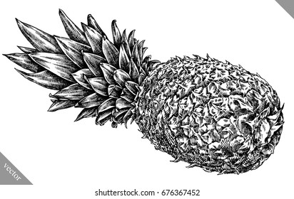 Engrave pineapple hand drawn graphic vector illustration art