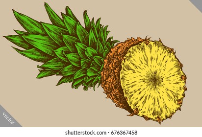 Engrave pineapple hand drawn graphic vector illustration art