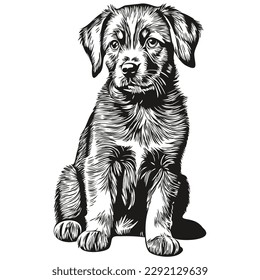 Engrave puppy illustration in vintage hand drawing style puppies

