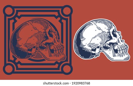 engrave skull vintage vector illustration