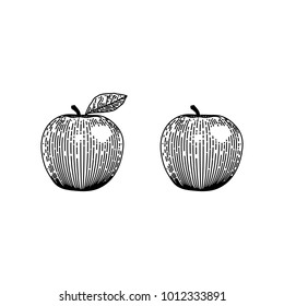Engraved apple. Sketch for tattoo