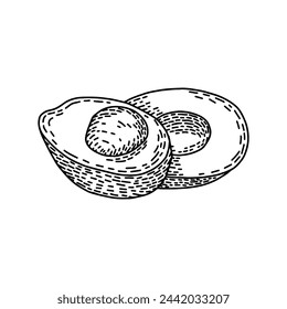 Engraved contour drawing of avocado halves. Summer food engraved style illustration. Detailed hand drawn contour vegetarian sketch. Great for label, poster, print, menu