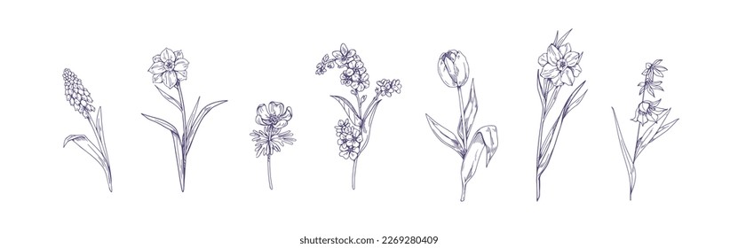 Engraved contoured spring flowers