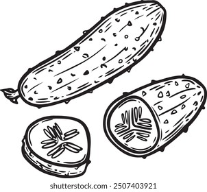 Engraved cucumbers hand drawing isolated on white background.