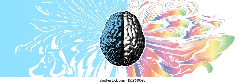 Engraved drawing human brain in different style of left and right cerebral hemispheres illustration isolated on abstract colorful element background 