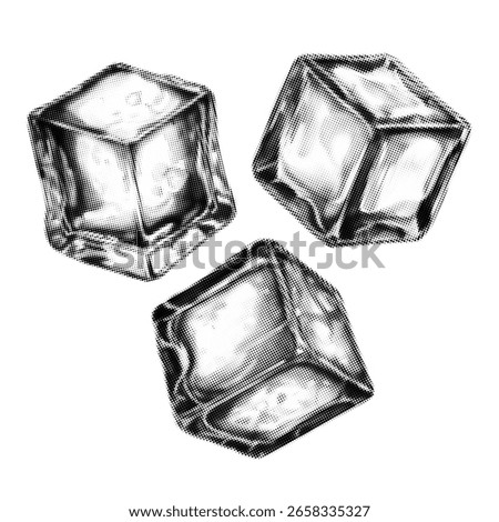 Engraved halftone ice cube set. Detailed vintage black and white illustration for cocktail menu, bar branding, packaging, mixology content and retro design.