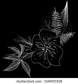 Engraved hand drawn abstract orchid. Retro flowers hand outline orchid, great design for any purposes. Outline vector. Nature background. Tropical plant. Floral design. Abstract art background