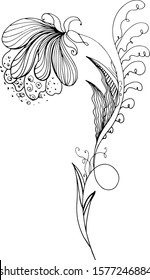 Engraved hand drawn abstract orchid. Retro flowers hand outline orchid, great design for any purposes. Outline vector. Nature background. Tropical plant. Floral design. Abstract art background