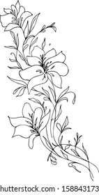 Engraved hand drawn abstract orchid. Retro flowers hand outline orchid, great design for any purposes. Outline vector. Nature background. Tropical plant. Floral design. Abstract art background