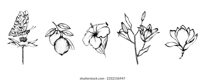 Engraved Hand Drawn Flowers and Plant on Stem with Leaf Vector Set. Sketch Ink Drawing Concept