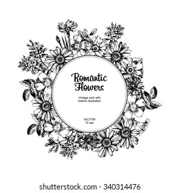 Engraved hand drawn illustrations of chamomile,  rosehips, cornflower, phlox. Flower buds, leaves and stems. Hand drawn illustration. Medicinal herbs