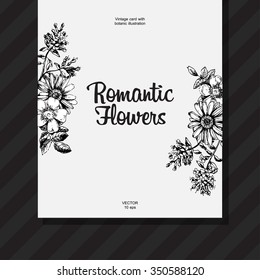 Engraved hand drawn illustrations of chamomile,  rosehips, cornflower, phlox. Flower buds, leaves and stems. Hand drawn illustration. Medicinal herbs