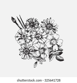 Engraved hand drawn illustrations of ornate chamomile. Flower buds, leaves and stems. Hand drawn illustration. Medicinal herbs