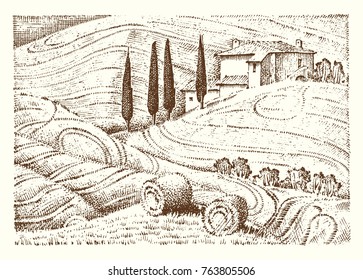 engraved hand drawn in old sketch and vintage style for label. fields background and cypress trees. harvesting and haystacks. Rural landscape of vineyard or rustic houses.