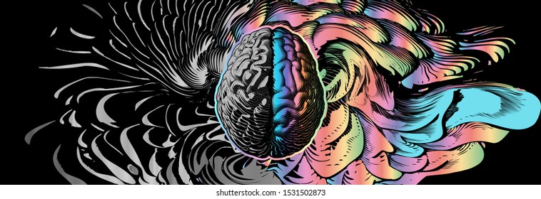 Engraved human brain with different style of left and right cerebral hemispheres illustration isolated on abstract black and colorful art element wide background
