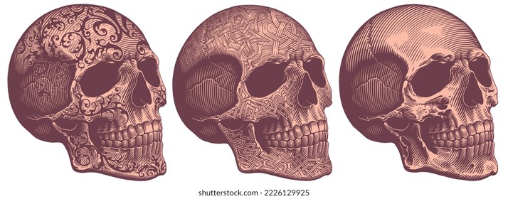 Engraved human skull. Design set. Editable hand drawn illustration. Vector vintage engraving. 8 EPS