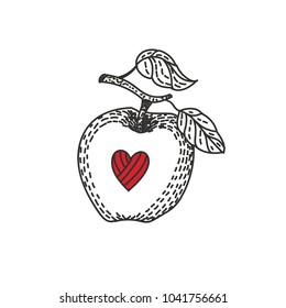 Engraved illustration of an apple. Vector illustration. Red heart. 