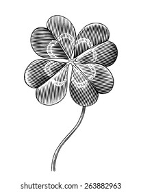 Engraved illustration of four leaf clover