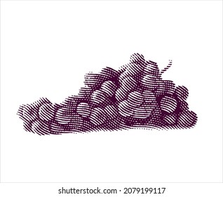 Ilustración grabada de uvas aisladas en fondo blanco