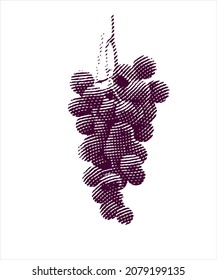 Ilustración grabada de uvas aisladas en fondo blanco