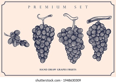 Engraved illustration of grapes vintage set
