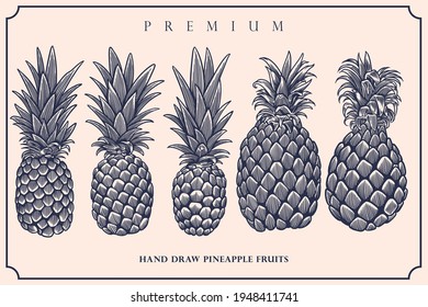 Engraved illustration of pineapple vintage set
