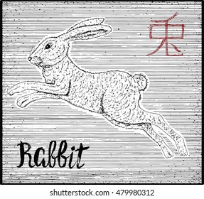 Engraved illustration of zodiac symbol with rabbit and lettering. Horoscope and astrological vector sign of asian new year calendar. Graphic line art with animal. Chinese hieroglyph means Rabbit