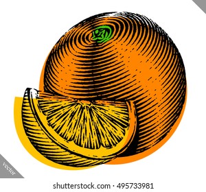 Engraved isolated color vector illustration of an orange